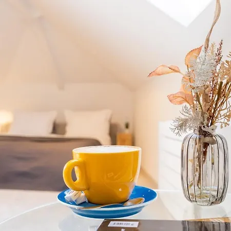 Musala N 06 Appartamento Varna